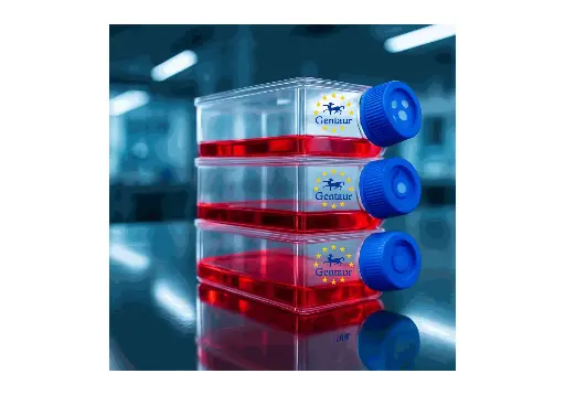 [GEN - CSI102Rb01-500k] Primary OB Cell, Rabbit